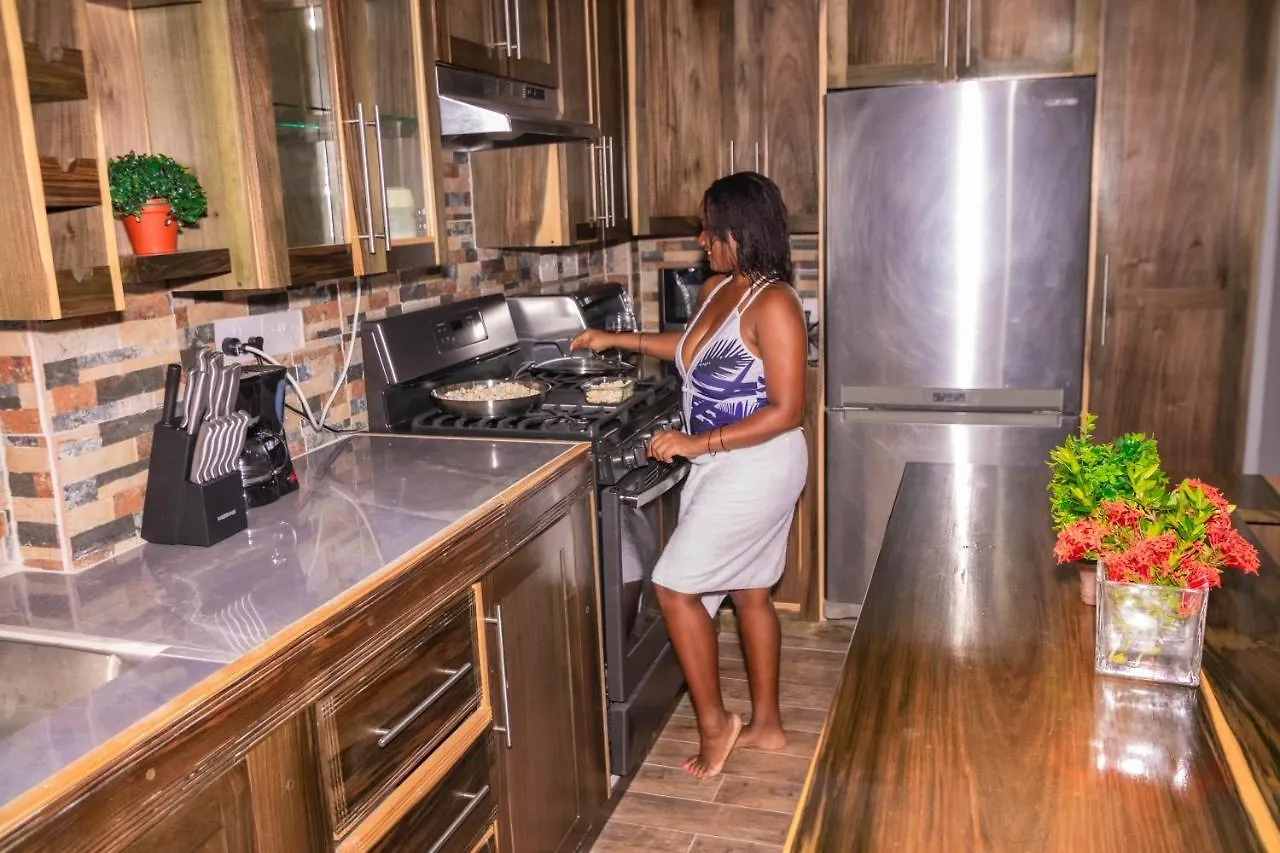 Topaz Apartment Villa - Piton View Soufriere Guest house